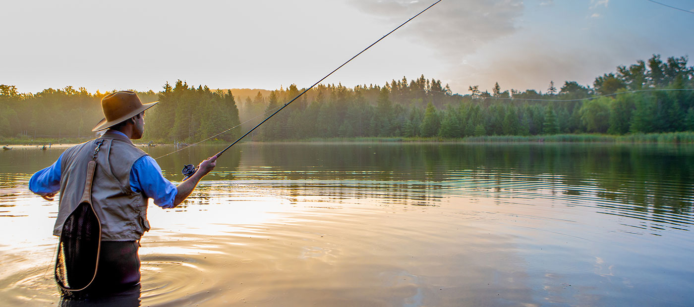 How to disconnect from screens and enjoy life on the road