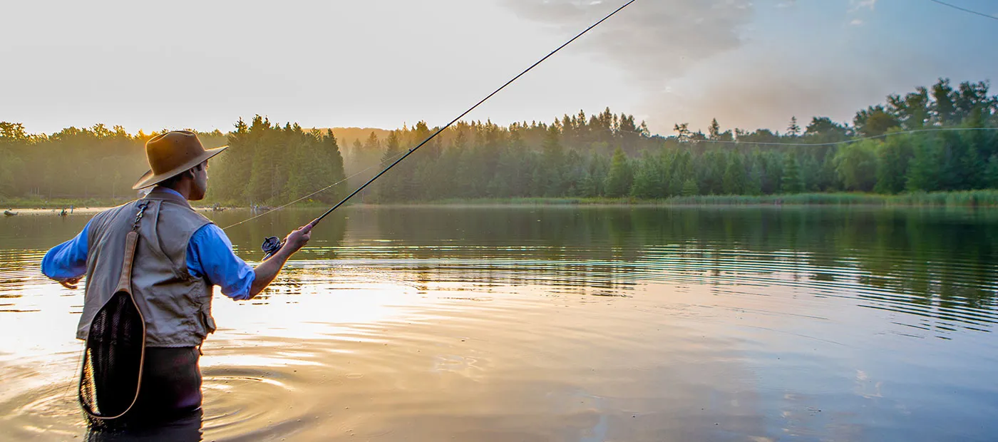 How to disconnect from screens and enjoy life on the road